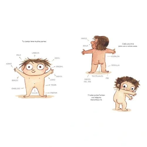 Ejemplo-de-página-del-álbum-ilustrado-Tu-cuerpo-es-tuyo-de-Lucia-Serrano