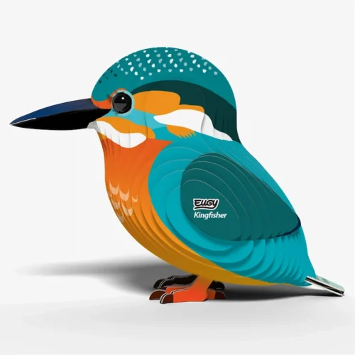 Eugy Kingfisher