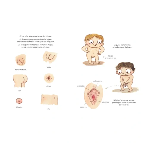 Exemple-de-pàgina-de-l'àlbum-il·lustrat-El-teu-cos-és-teu-de-Lucia-Serrano