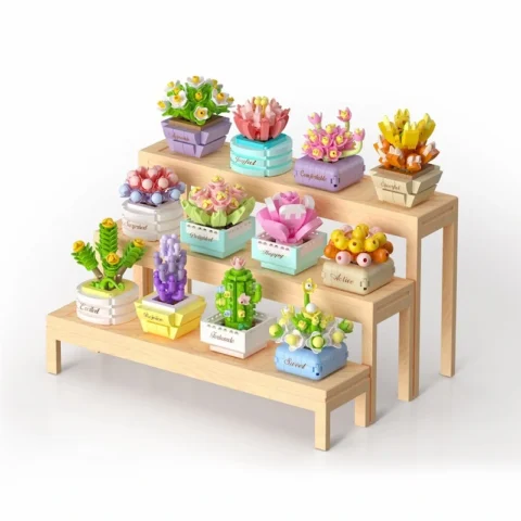 Expositor-koco-plantas-suculentas