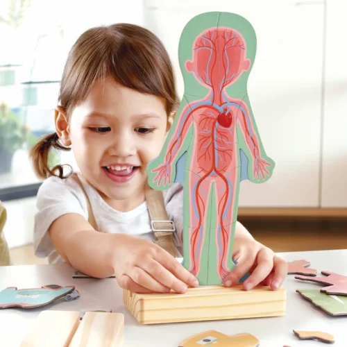 Hape-rompecabezas-magnético-del-cuerpo-humano-niña-jugando