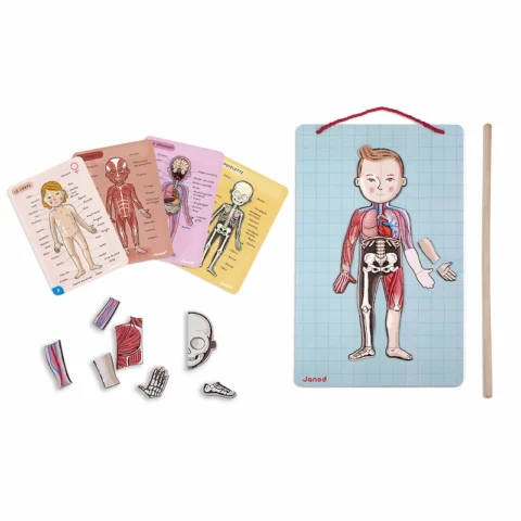 Janod-bodymagnet-12-idiomas-contenido