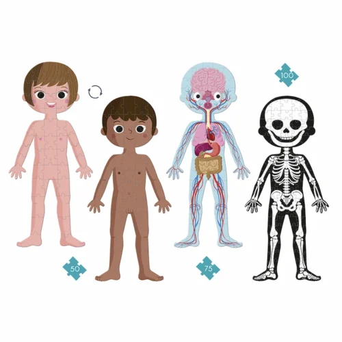 Janod-puzle-educativo-cuerpo-humano
