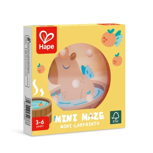 Mini-Maze-individual