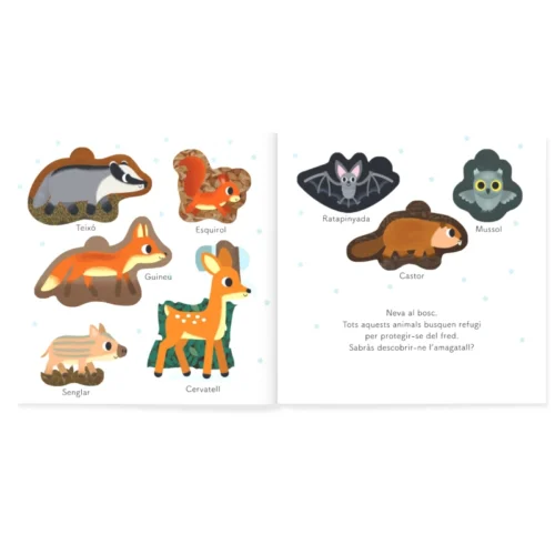 Pàgina-interior-del-llibre-Qui-s'amaga-al-bosc
